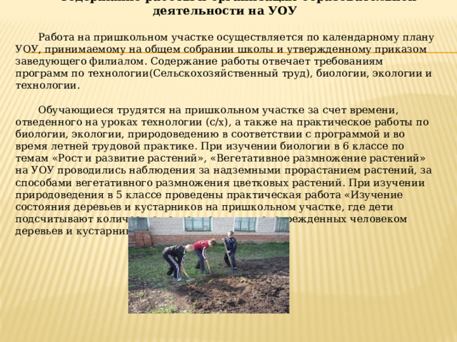 Содержание работы и организация образовательной деятельности на УОУ Работа на пришкольном участке осуществляется по календарному плану УОУ, принимаемому на общем собрании школы и утвержденному приказом заведующего филиалом. Содержание работы отвечает требованиям программ по технологии(Сельскохозяйственный труд), биологии, экологии и технологии. Обучающиеся трудятся на пришкольном участке за счет времени, отведенного на уроках технологии (с/х), а также на практическое работы по биологии, экологии, природоведению в соответствии с программой и во время летней трудовой практике. При изучении биологии в 6 классе по темам «Рост и развитие растений», «Вегетативное размножение растений» на УОУ проводились наблюдения за надземными прорастанием растений, за способами вегетативного размножения цветковых растений. При изучении природоведения в 5 классе проведены практическая работа «Изучение состояния деревьев и кустарников на пришкольном участке, где дети подсчитывают количество поврежденных и неповрежденных человеком деревьев и кустарников».  