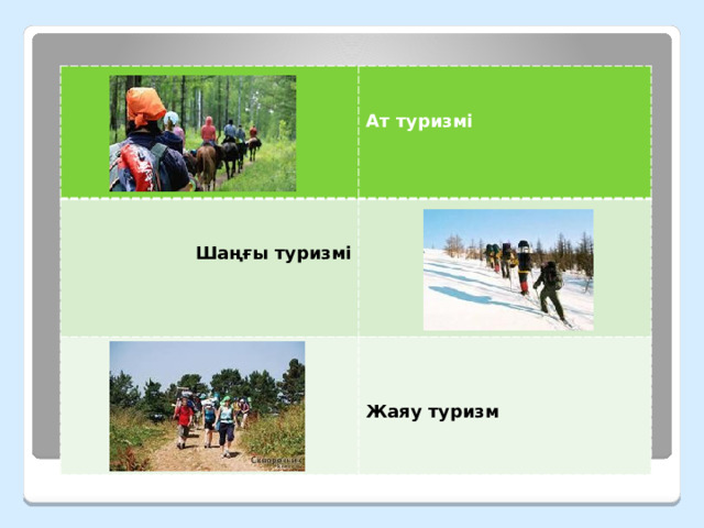   Ат туризмі Шаңғы туризмі Жаяу туризм 