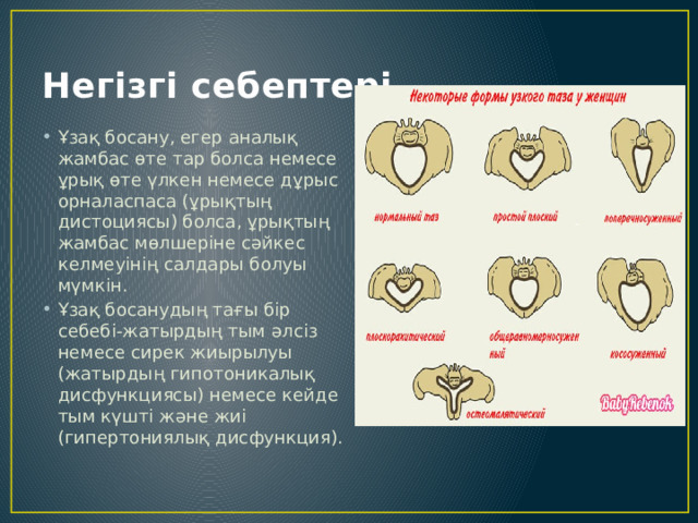 Негізгі себептері Ұзақ босану, егер аналық жамбас өте тар болса немесе ұрық өте үлкен немесе дұрыс орналаспаса (ұрықтың дистоциясы) болса, ұрықтың жамбас мөлшеріне сәйкес келмеуінің салдары болуы мүмкін. Ұзақ босанудың тағы бір себебі-жатырдың тым әлсіз немесе сирек жиырылуы (жатырдың гипотоникалық дисфункциясы) немесе кейде тым күшті және жиі (гипертониялық дисфункция). 