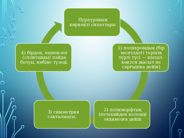 Пурпураның көрнекті сипаттары 1) полихромдық (бір мезгілдегі терінің түрлі түсі — кызыл-көктсн жасыл не сарғышқа дейін) 4) бірден, өзінен-өзі (спонтанды) пайда болуы, көбіне түзеді. 2) полиморфтық (петехийден келемді экхимозға дейін  3) симметрия сакталмауы, 