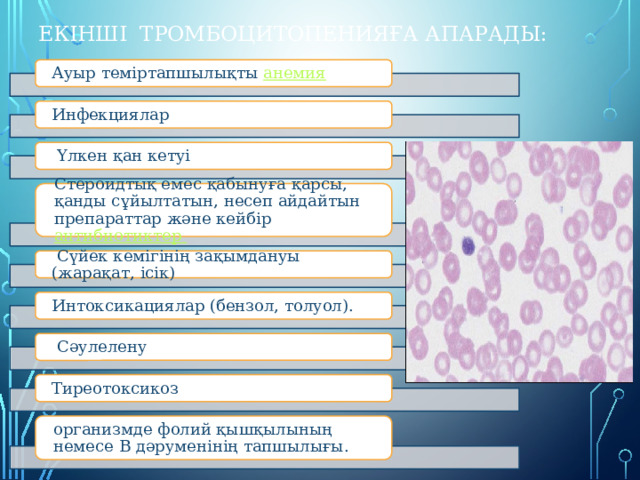 Екінші  тромбоцитопенияға апарады:   Ауыр теміртапшылықты  анемия Инфекциялар   Үлкен қан кетуі Стероидтық емес қабынуға қарсы, қанды сұйылтатын, несеп айдайтын препараттар және кейбір  антибиотиктер     Сүйек кемігінің зақымдануы (жарақат, ісік) Интоксикациялар (бензол, толуол).  Сәулелену Тиреотоксикоз организмде фолий қышқылының немесе В дәруменінің тапшылығы. 
