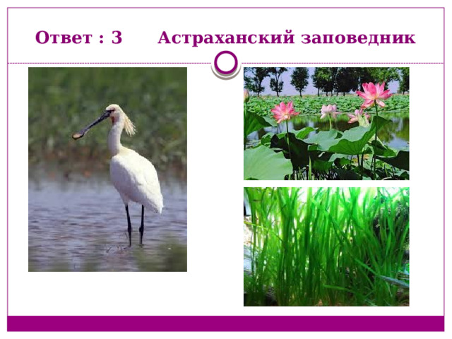 Ответ : 3 Астраханский заповедник 