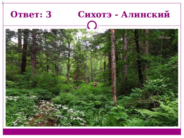 1  Ответ: 3 Сихотэ - Алинский 