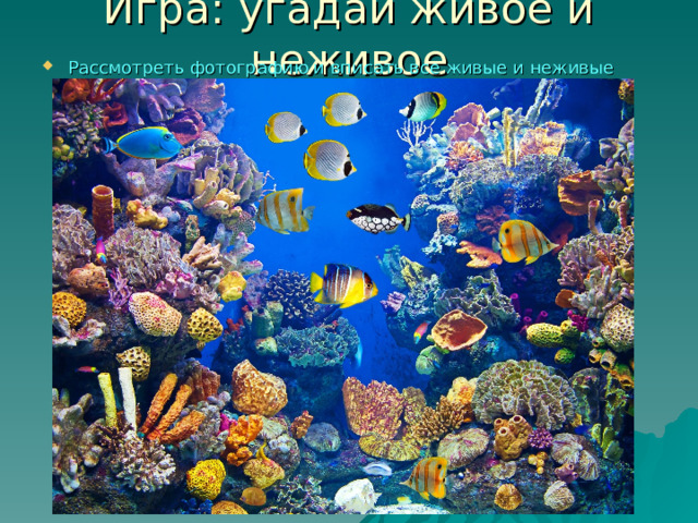 Игра: угадай живое и неживое Рассмотреть фотографию и вписать все жив ы е и нежив ы е объекты 