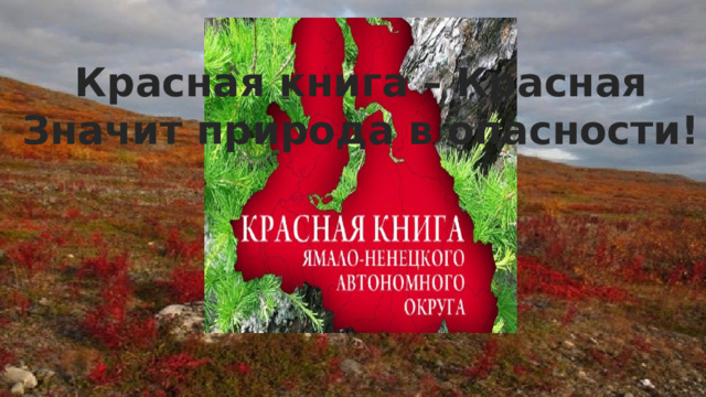 Красная книга – Красная Значит природа в опасности! 