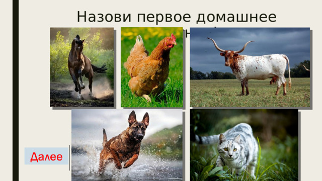 Назови первое домашнее животное! 
