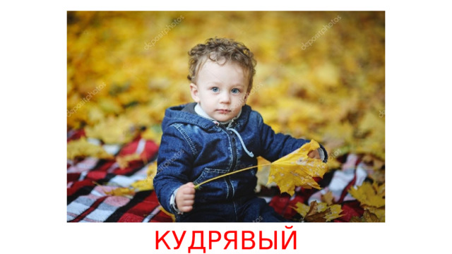 КУДРЯВЫЙ 