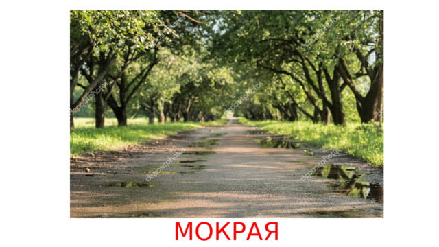 МОКРАЯ 