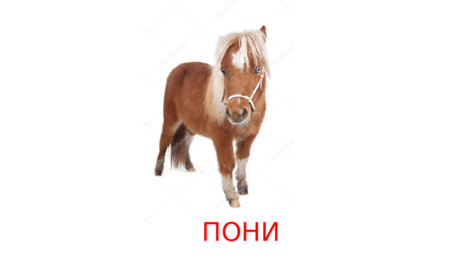 ПОНИ 