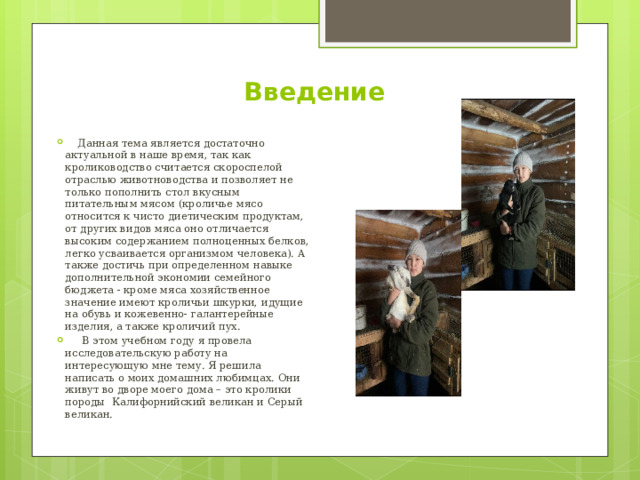 Введение  Данная тема является достаточно актуальной в наше время, так как кролиководство считается скороспелой отраслью животноводства и позволяет не только пополнить стол вкусным питательным мясом (кроличье мясо относится к чисто диетическим продуктам, от других видов мяса оно отличается высоким содержанием полноценных белков, легко усваивается организмом человека). А также достичь при определенном навыке дополнительной экономии семейного бюджета - кроме мяса хозяйственное значение имеют кроличьи шкурки, идущие на обувь и кожевенно- галантерейные изделия, а также кроличий пух.  В этом учебном году я провела исследовательскую работу на интересующую мне тему. Я решила написать о моих домашних любимцах. Они живут во дворе моего дома – это кролики породы Калифорнийский великан и Серый великан. 