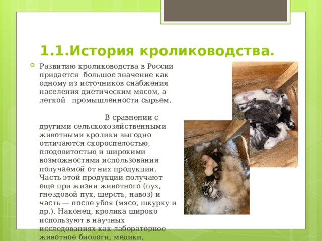 1.1.История кролиководства. Развитию кролиководства в России придается большое значение как одному из источников снабжения населения диетическим мясом, а легкой промышленности сырьем. В сравнении с другими сельскохозяйственными животными кролики выгодно отличаются скороспелостью, плодовитостью и широкими возможностями использования получаемой от них продукции. Часть этой продукции получают еще при жизни животного (пух, гнездовой пух, шерсть, навоз) и часть — после убоя (мясо, шкурку и др.). Наконец, кролика широко используют в научных исследованиях как лабораторное животное биологи, медики, ветеринары, а также в диагностических лабораториях и на биофабриках. 