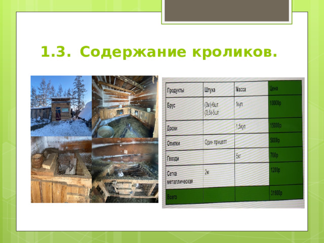 1.3.  Содержание кроликов. 