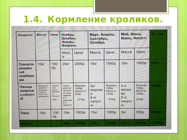 1.4.  Кормление кроликов. 
