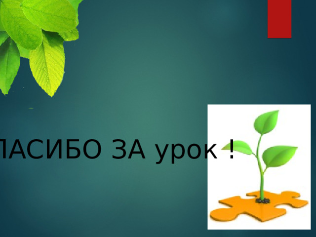 СПАСИБО ЗА урок  ! 