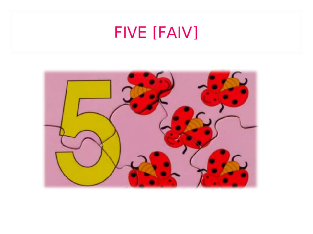 FIVE [FAIV] 