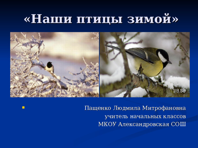  «Наши птицы зимой»  Пащенко Людмила Митрофановна  учитель начальных классов  МКОУ Александровская СОШ 