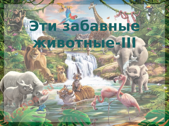 Эти забавные животные-III 