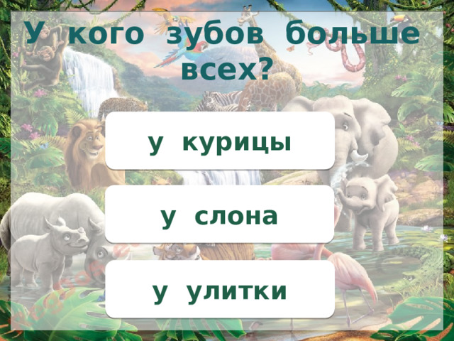 У кого зубов больше всех? у курицы у слона у улитки 