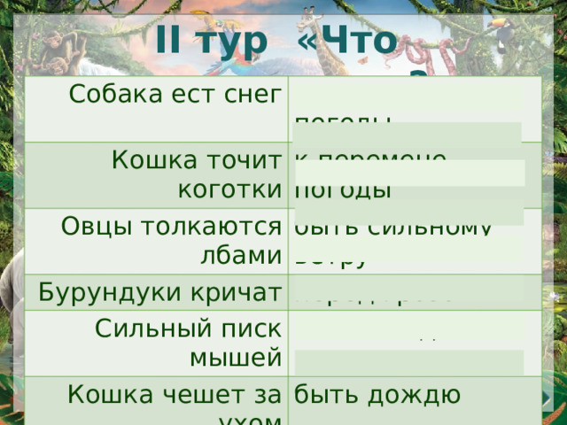 II тур «Что предскажешь?» Собака ест снег к ухудшению погоды Кошка точит коготки к перемене погоды Овцы толкаются лбами быть сильному ветру Бурундуки кричат Сильный писк мышей перед грозой Кошка чешет за ухом к похолоданию быть дождю Крот нагребает кучи к скорой непогоде Ласточки летают низко с дождливой погоде 