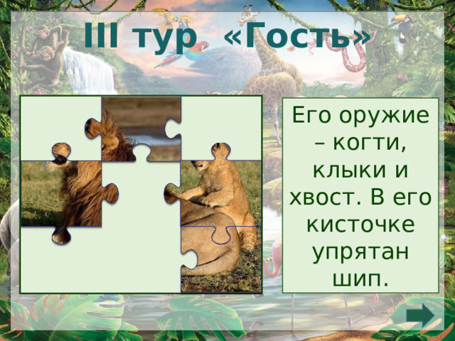  III тур «Гость» Его оружие – когти, клыки и хвост. В его кисточке упрятан шип. 