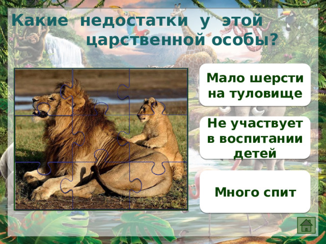 Какие недостатки у этой царственной особы? Мало шерсти на туловище Не участвует в воспитании детей Много спит 