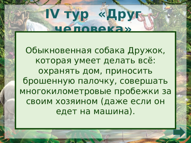 IV тур «Друг человека» Обыкновенная собака Дружок, которая умеет делать всё: охранять дом, приносить брошенную палочку, совершать многокилометровые пробежки за своим хозяином (даже если он едет на машина). 
