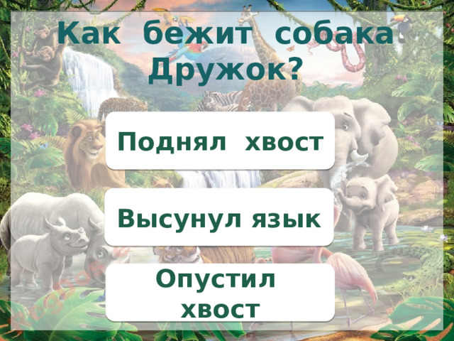 Как бежит собака Дружок? Поднял хвост Высунул язык Опустил хвост 
