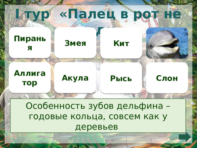 I тур «Палец в рот не клади» Пиранья Змея  Кит Аллигатор Акула Слон Рысь Особенность зубов дельфина – годовые кольца, совсем как у деревьев     