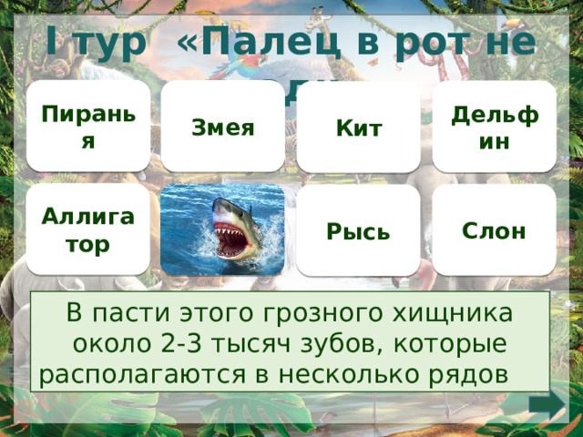 I тур «Палец в рот не клади» Пиранья Змея Дельфин Кит Аллигатор  Слон Рысь В пасти этого грозного хищника около 2-3 тысяч зубов, которые располагаются в несколько рядов       