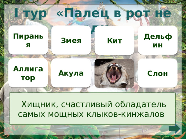 I тур «Палец в рот не клади» Пиранья Змея Дельфин Кит Аллигатор Акула Слон   Хищник, счастливый обладатель самых мощных клыков-кинжалов     