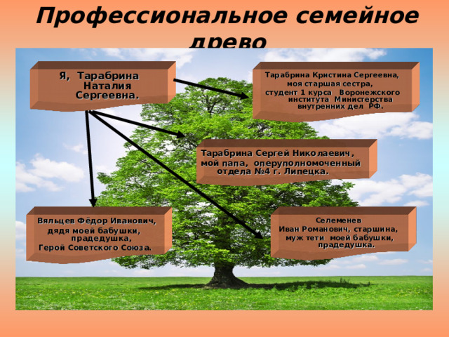 Профессиональное семейное древо Я, Тарабрина Наталия Сергеевна.  Тарабрина Кристина Сергеевна, моя старшая сестра, студент 1 курса Воронежского института Министерства внутренних дел РФ. Тарабрина Сергей Николаевич, мой папа, оперуполномоченный отдела №4 г. Липецка.  Вяльцев Фёдор Иванович, дядя моей бабушки, прадедушка, Герой Советского Союза. Селеменев Иван Романович, старшина, муж тети моей бабушки, прадедушка. 
