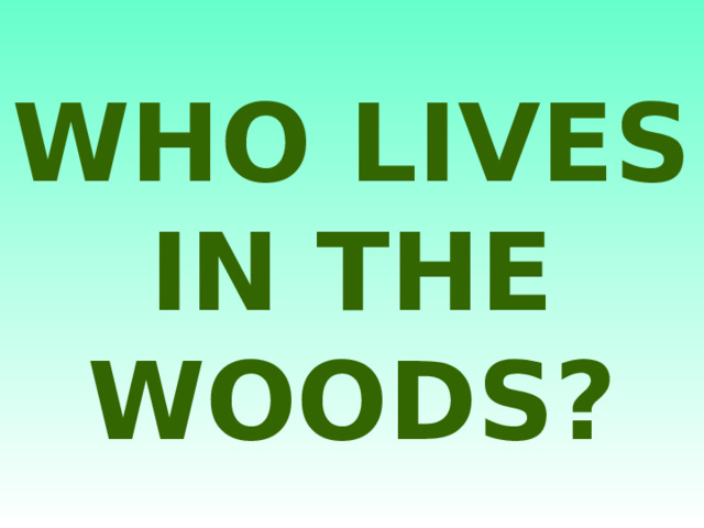 WHO LIVES IN THE WOODS? 