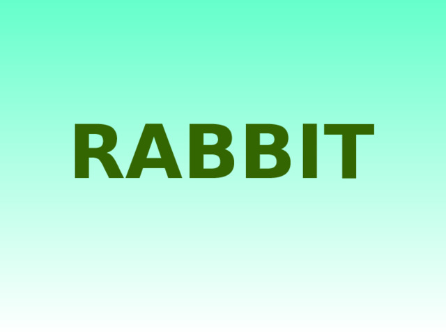 RABBIT 