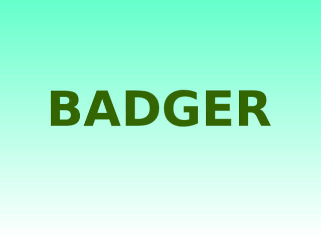 BADGER 