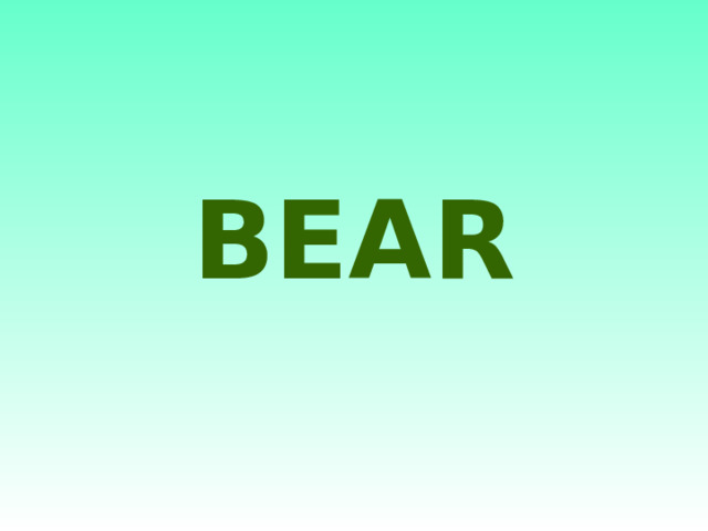 BEAR 