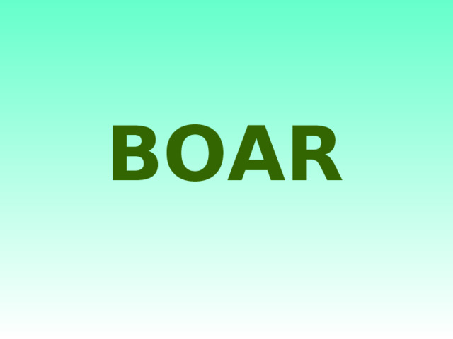BOAR 