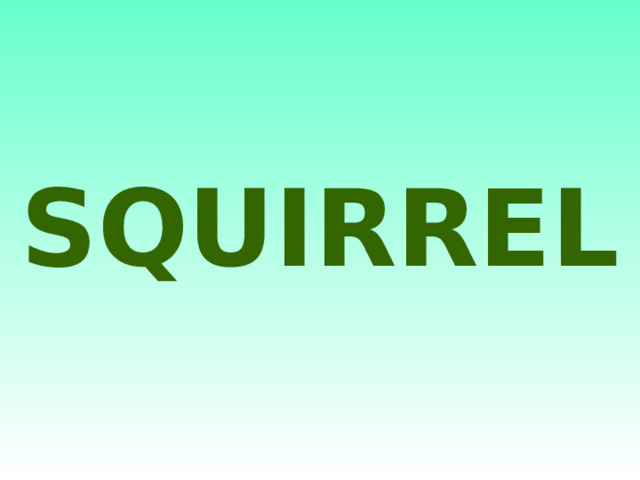 SQUIRREL 