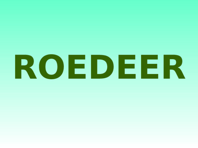 ROEDEER 