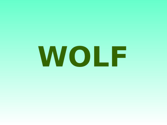 WOLF 