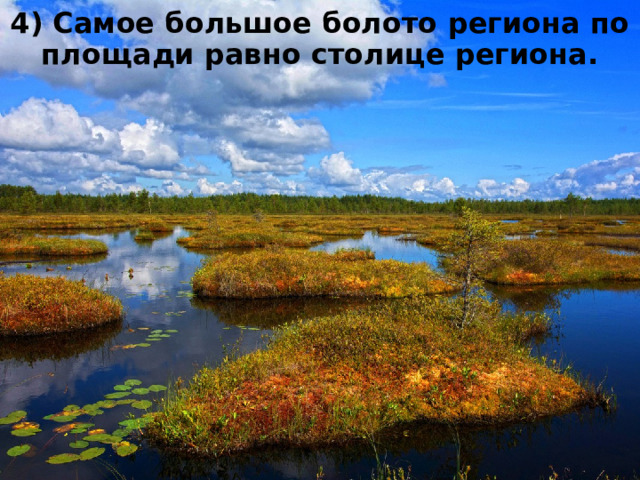 4) Самое большое болото региона по площади равно столице региона. 