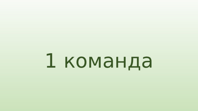 1 команда 