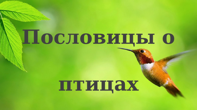  Пословицы о  птицах  