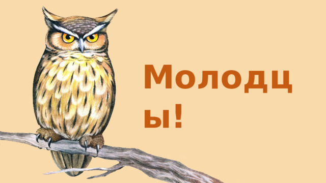 Молодцы! 