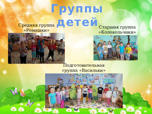 Группы детей Средняя группа «Ромашки» Старшая группа «Колокольчики» Подготовительная группа «Васильки» 
