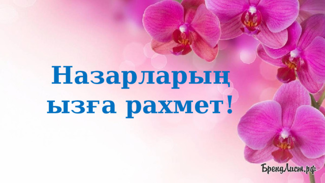 Назарларыңызға рахмет! 