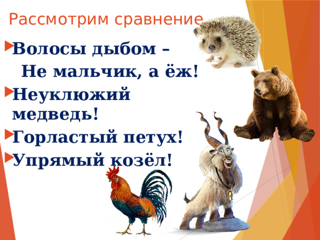 Рассмотрим сравнение Волосы дыбом –  Не мальчик, а ёж! Неуклюжий медведь! Горластый петух! Упрямый козёл! 