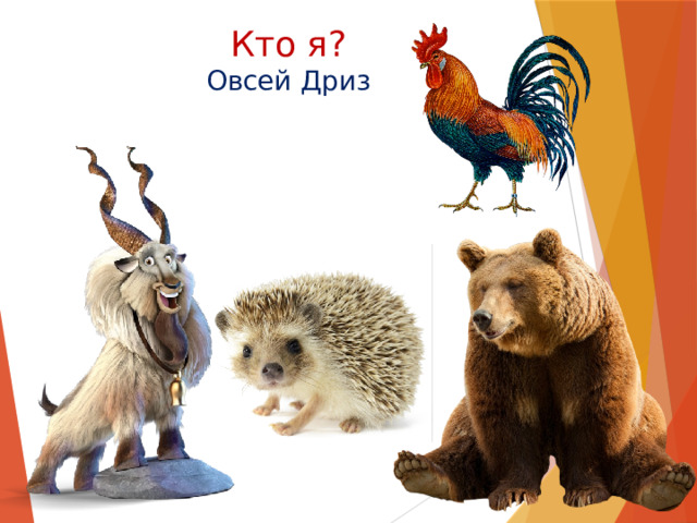 Кто я?  Овсей Дриз 