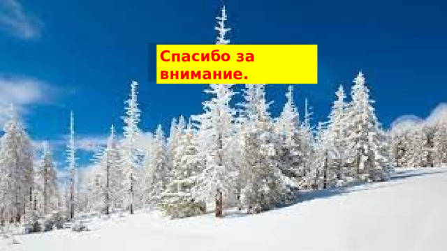 Спасибо за внимание. 