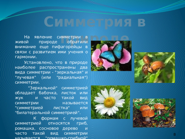 Симметрия в природе   На явление симметрии в живой природе обратили внимание еще пифагорейцы в связи с развитием ими учения о гармонии.   Установлено, что в природе наиболее распространены два вида симметрии - 