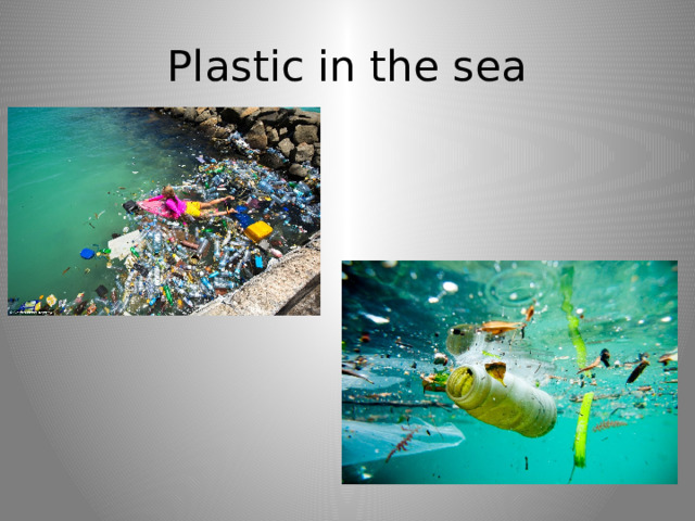 Plastic in the sea 